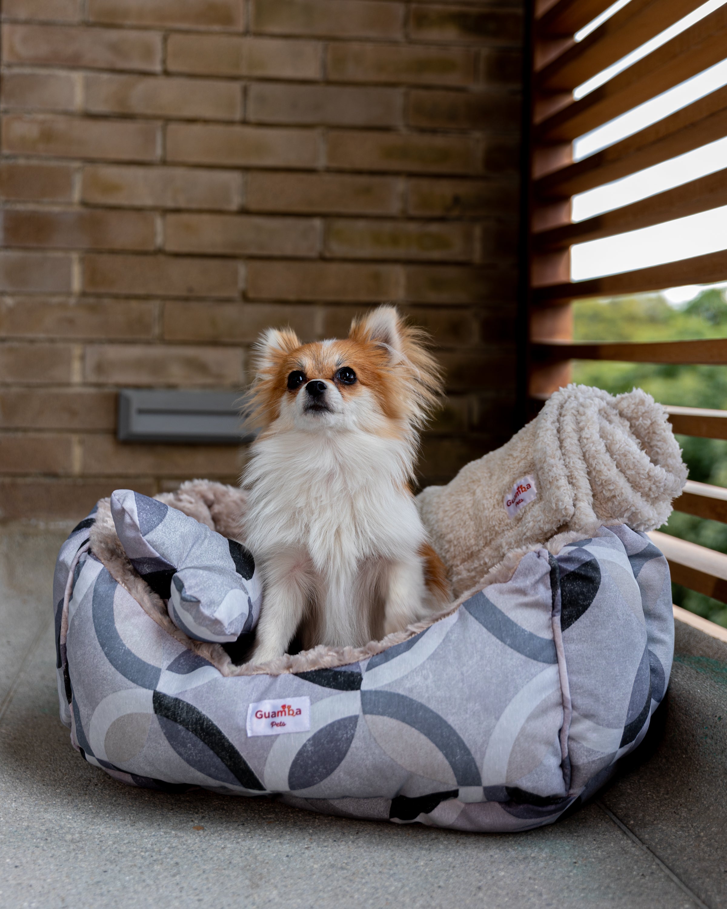 Combo Cama Mascota Milan