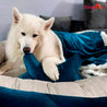 camas para perros amplias y comodas
