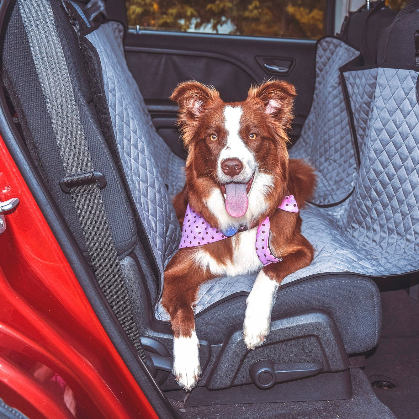protector-carro_2988c23c-2bfd-462e-8dea-d0f2cd0273b9.jpg