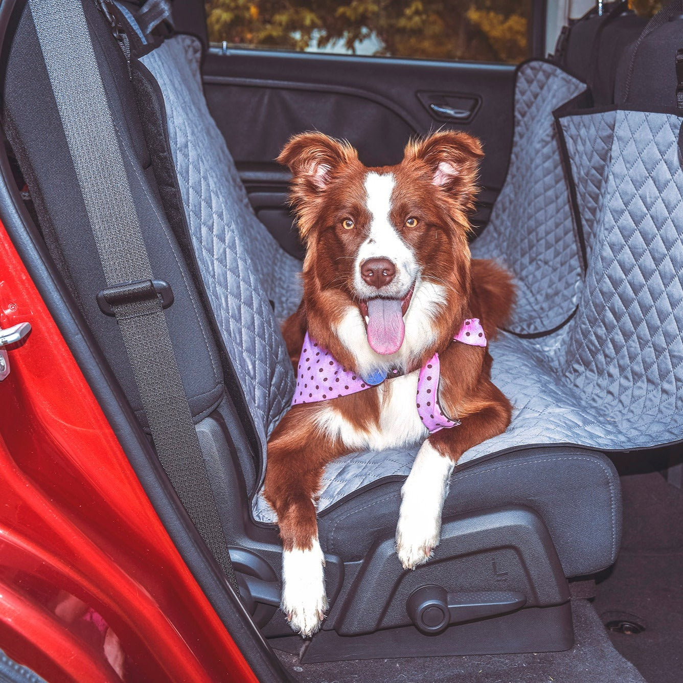 Protector para transportar mascotas en el coche Pack 2 unidades